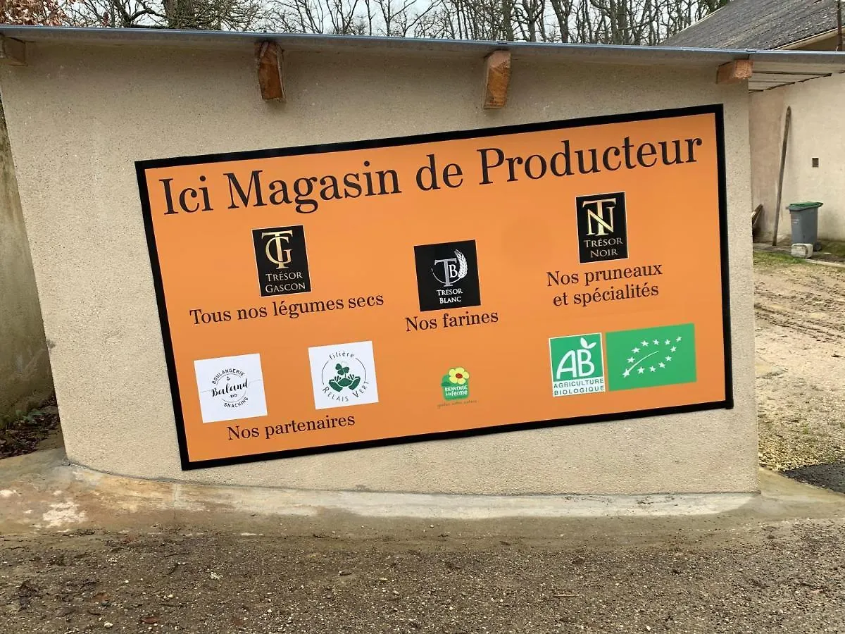 Gîte de Beausoleil La Romieu